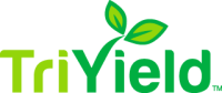 Bethel triyield, inc.