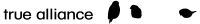 True alliance llc