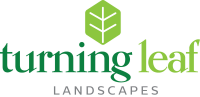 Turning leaf landscape