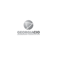 Twin cities cio leadership association
