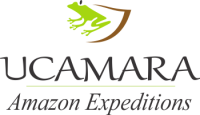 Ucamara amazon expeditions