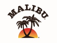 Under the palm tree