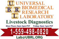 Universal biomedical research laboratory (ubrl)