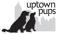 Uptown pup inc