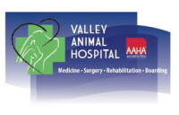 Vail valley animal hospital, llc