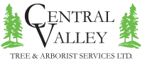 Valley arborists