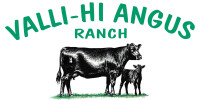 Valli hi angus ranch