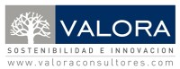 Valora consultores