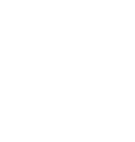 Venezia hauling inc