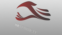 Ventricle development