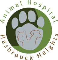 Animal hospital of hasbrouck heights