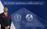 Vicente consulting, llc