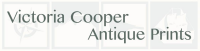 Victoria cooper antique prints