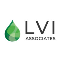 Lvi associates