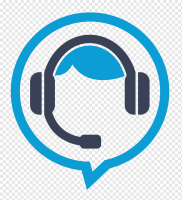 Virtual project manager