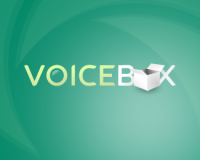 Voice of the box