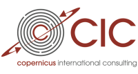 Jaidin international consulting, llc