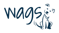 Wags doggie daycare