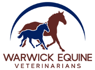 Warwick equine clinic