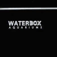 Water box media