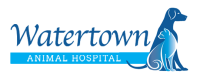 Watertown animal hospital