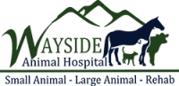 Wayside animal hospital