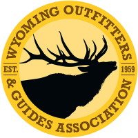 Western wyoming outfitters