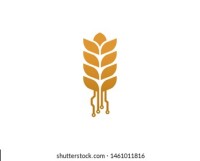 Wheat inc technology services