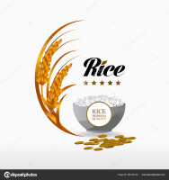 White & rice