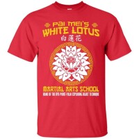 White lotus martial arts training center
