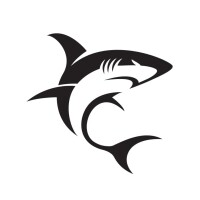 White shark video