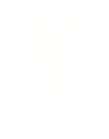 White stag capital, llc