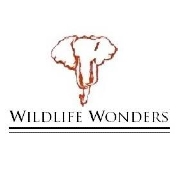 Wildlife wonders