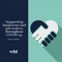 Wild recruitment ltd