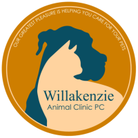 Willakenzie animal clinic