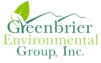 Willard environmental group inc
