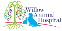 Willow animal hospital