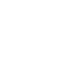 Wines on vine llc