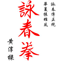 Wing tsun kung fu schule
