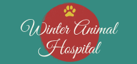 Winter animal hospital