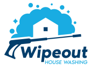Wipeout cleaning services