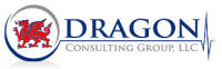 Wise dragon consulting