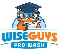 Wiseguys pro-wash