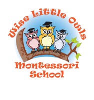 Wise little owl preschool