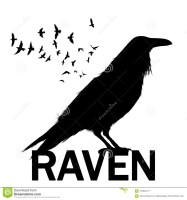 Wise raven copy llc