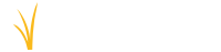 Wise rhino group