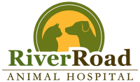 Woodruff road animal hospital