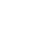 Wow barbecue - the barbecue lamb brothers llc