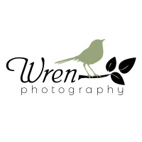 Wren photography