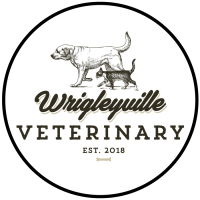 Wrigleyville veterinary center